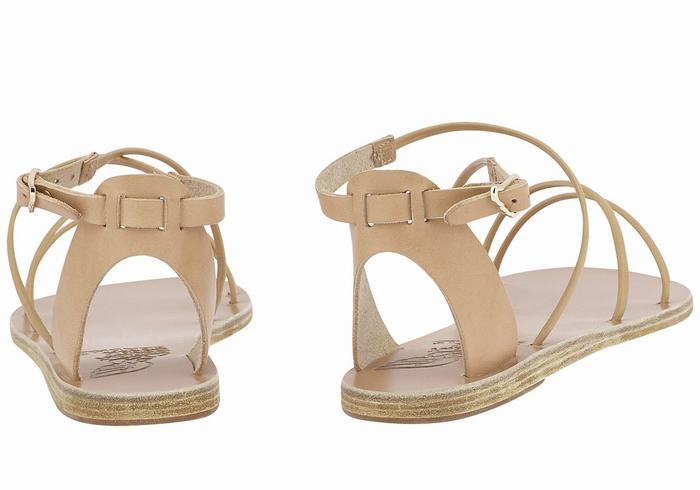 Sandales Bride Cheville Ancient Greek Sandals Meloivia   | JKQ-6587362